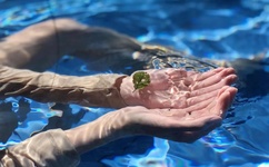 李宗瑞性侵全集